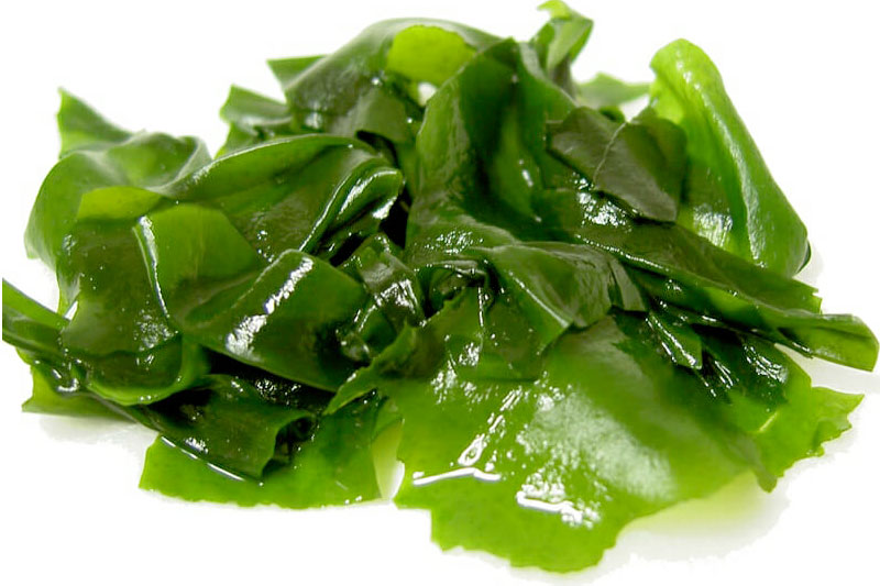 seaweed salad wakame