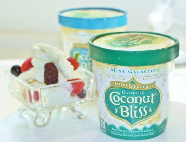 Coconut Bliss Dairy Free Ice Cream