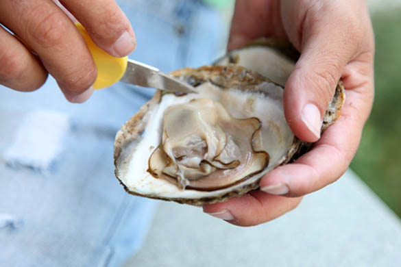 Clean Eating Oysters