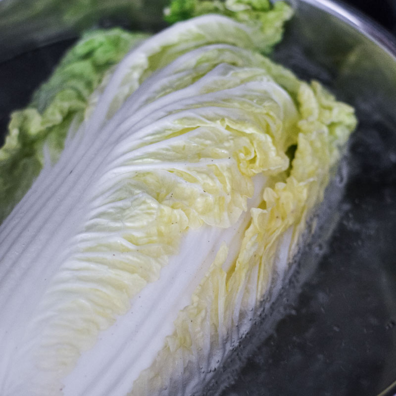 recipe for stuffed cabbage rolls