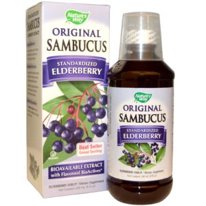 Nature's Way brand Original Sambucus Standardized Elderberry Syurp