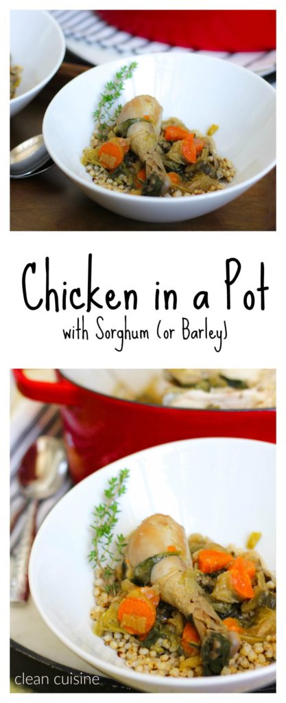 chicken in a pot