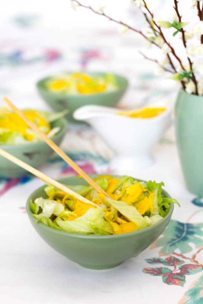 Japanese Ginger Salad Dressing Recipe