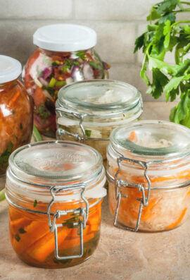 non dairy fermented foods