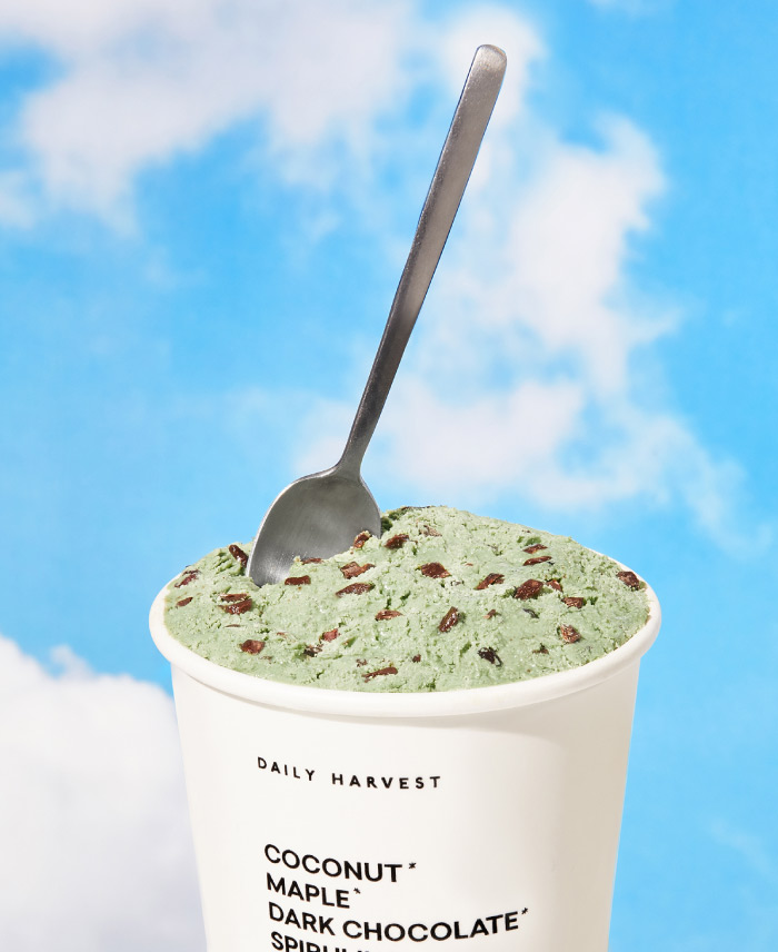 DAILY HARVEST SCOOPS MINT + DARK MELTY CACAO CHIPS