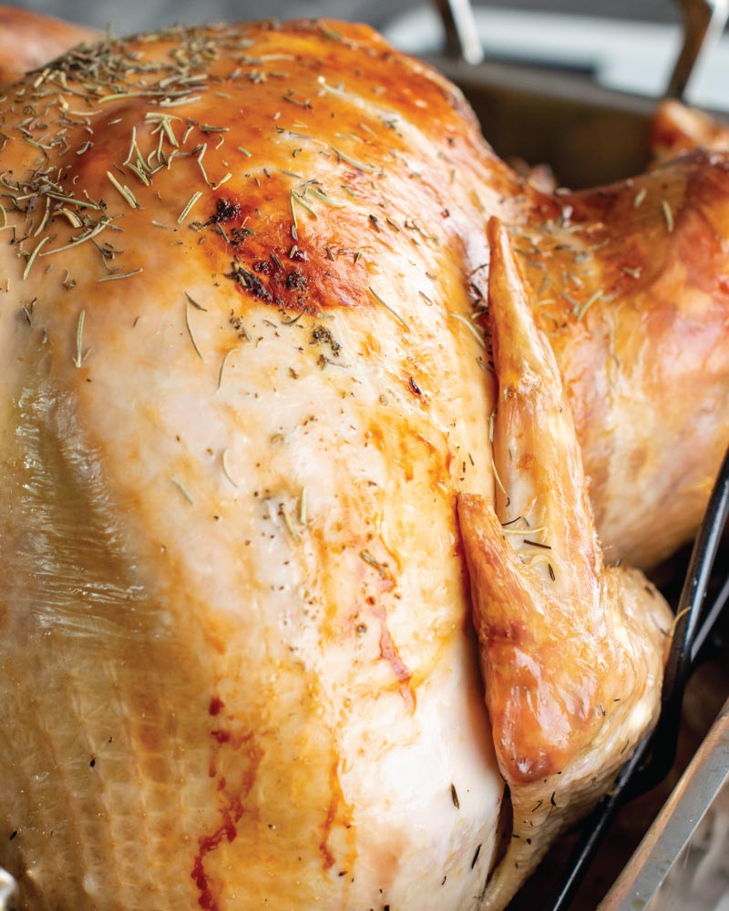 turkey recipe for oven