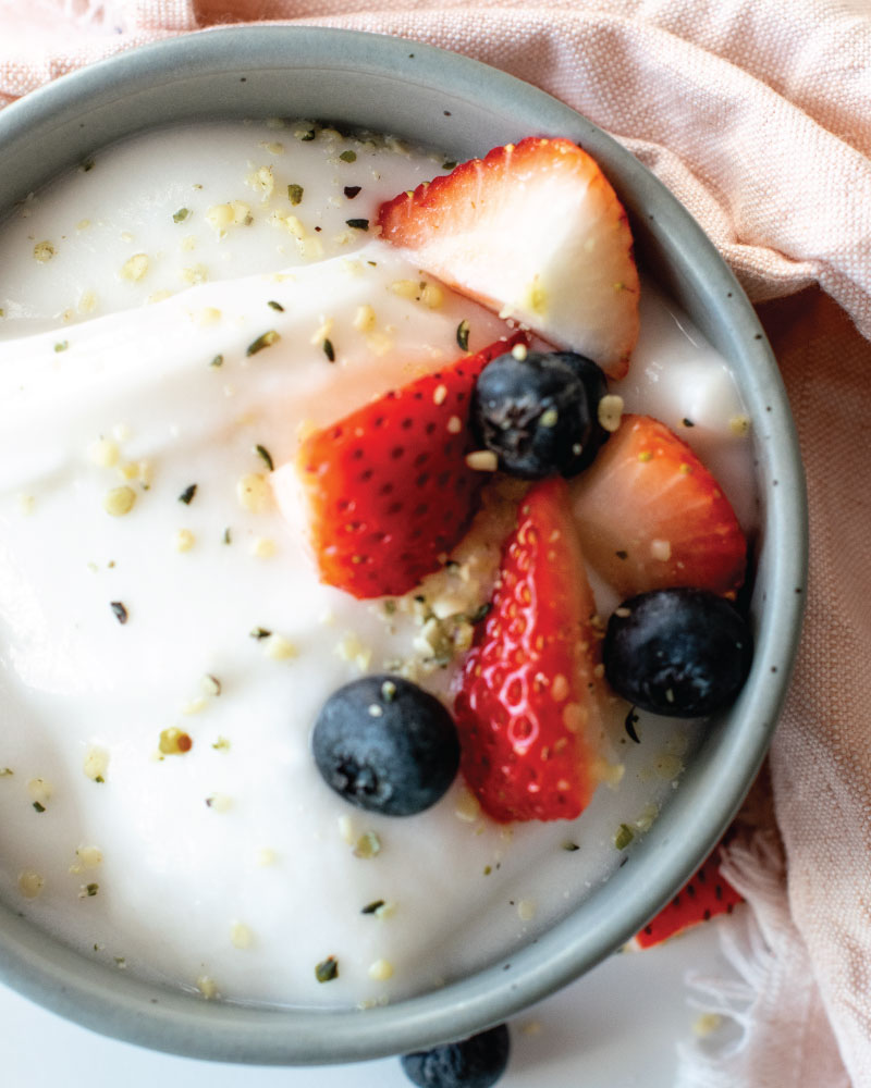 recipe for homemade yogurt with coconut cream
