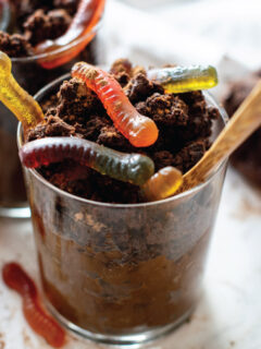 recipe for worms and dirt